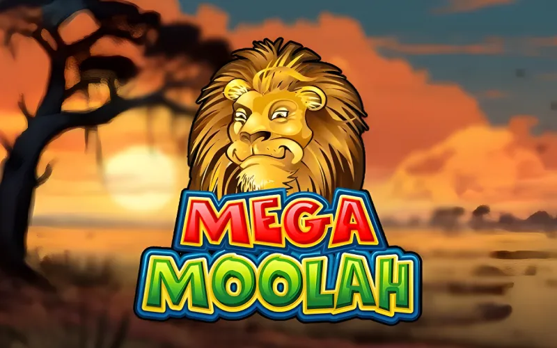 대형 잭팟 제공하는 1win Mega Moolah.