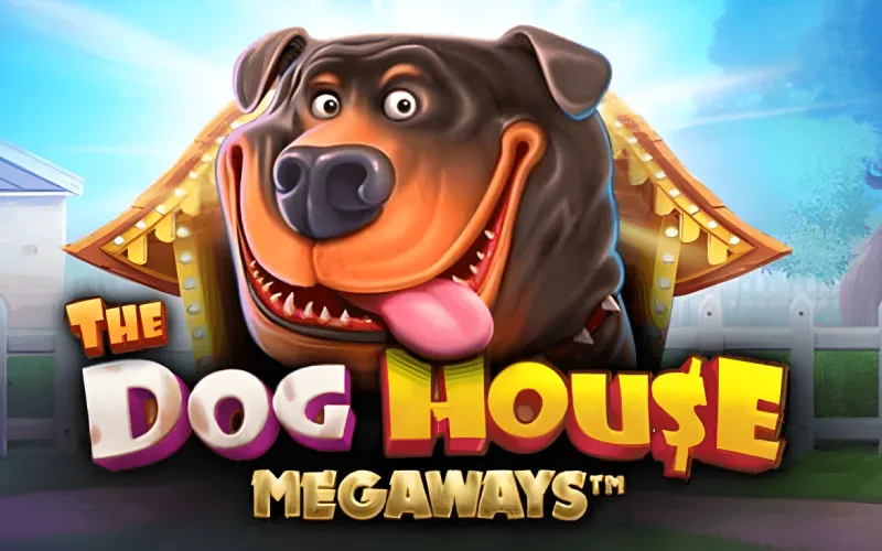 1win The Dog House에서 무료스핀으로 큰 당첨 장면.